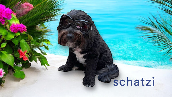Schatzi Pet Fur Mask with Pure4 & Soothing Oatmeal 8 fl oz.