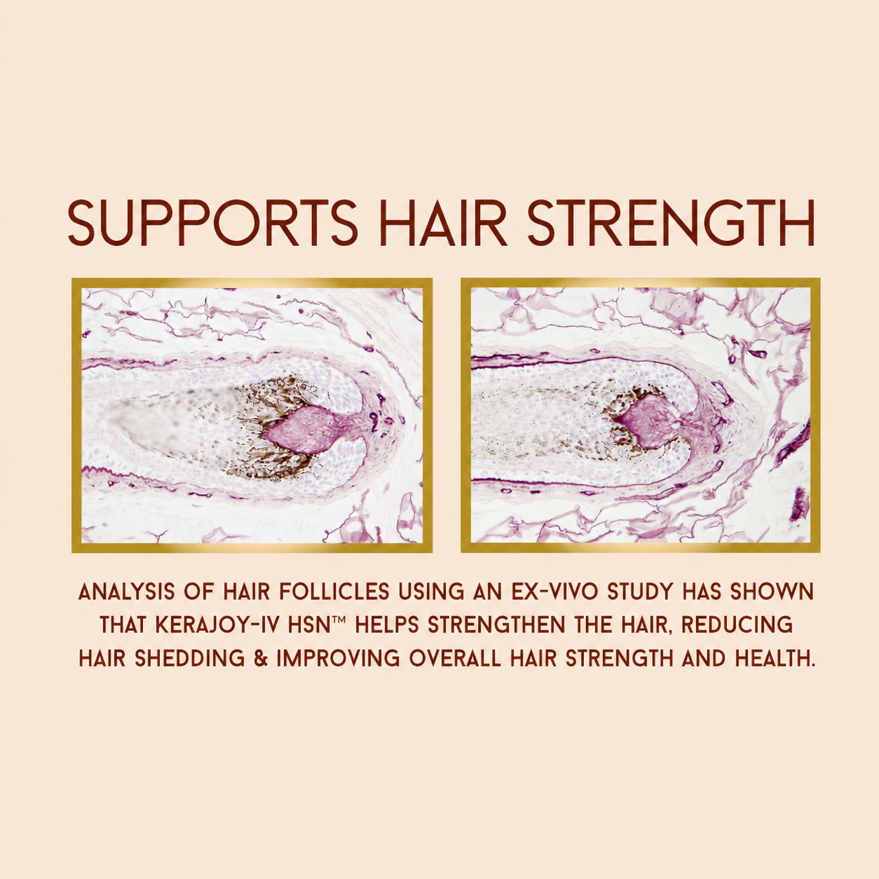 Ultimate Hair Strength PRO Supplements- 90 Days