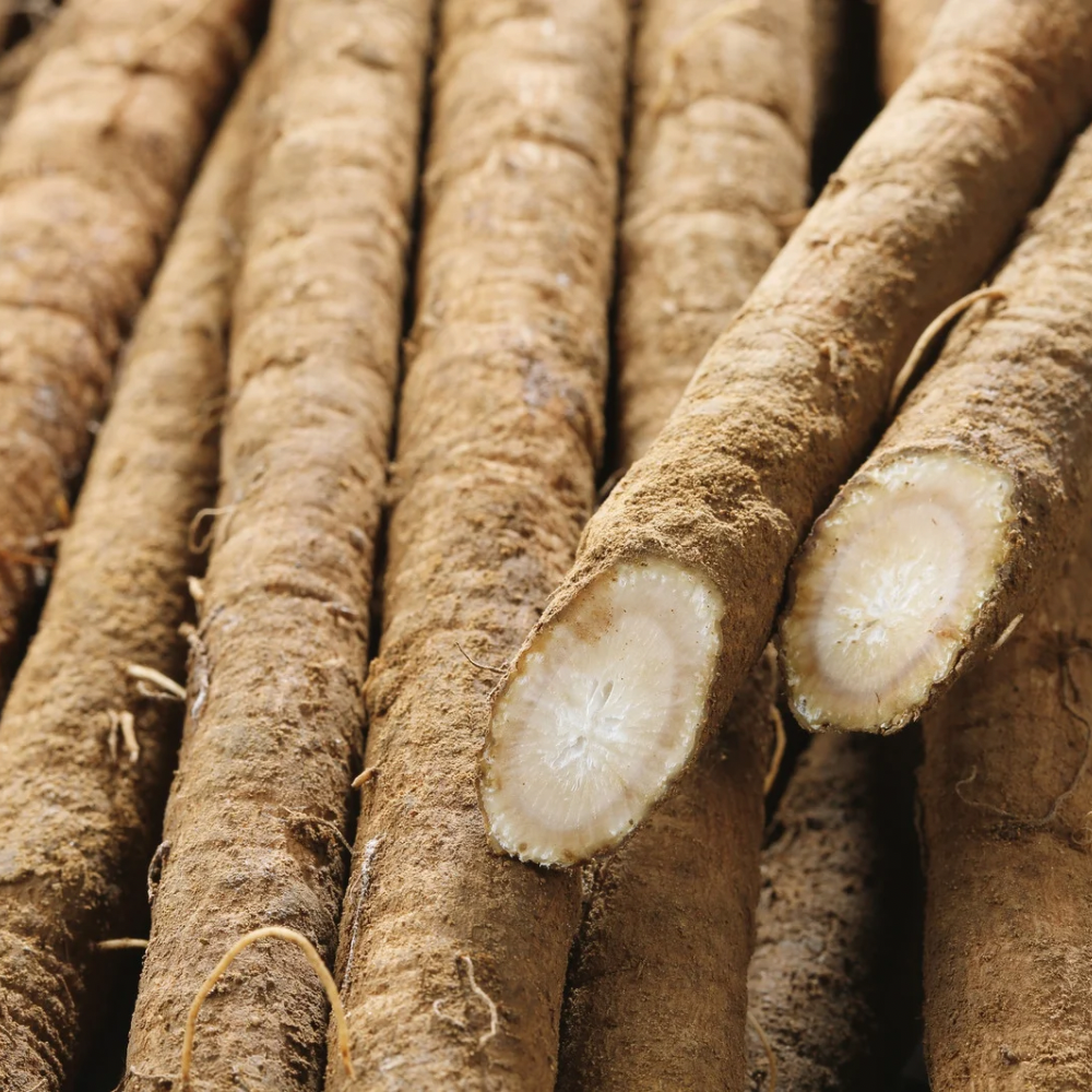 KSM-66® Ashwagandha