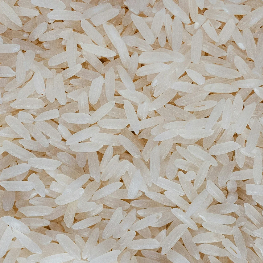 CeraLOK® Rice Ceramides