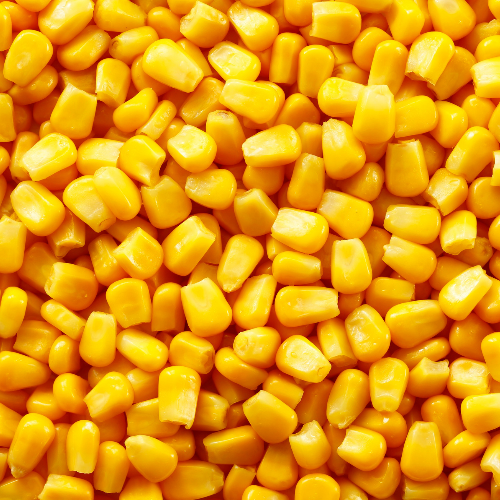 Corn Protein