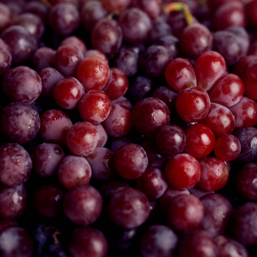 Trans Resveratrol