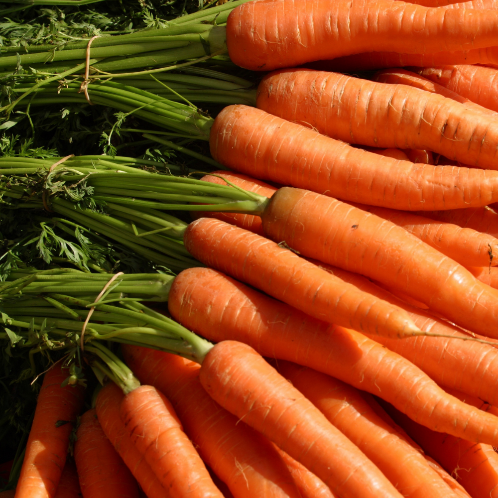Vitamin A