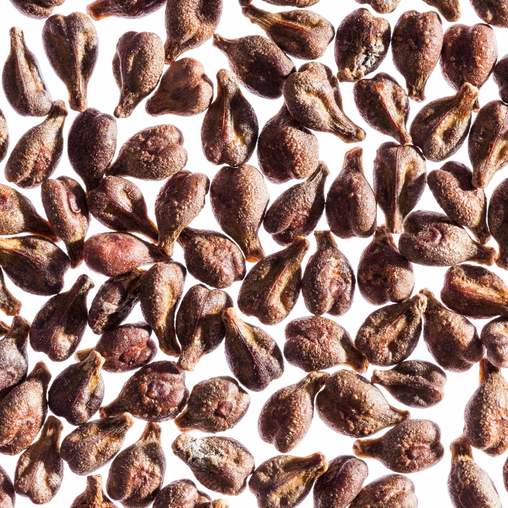 Grape Seed Extract