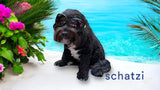 Schatzi Pet Fur Mask with Pure4 & Soothing Oatmeal 8 fl oz.