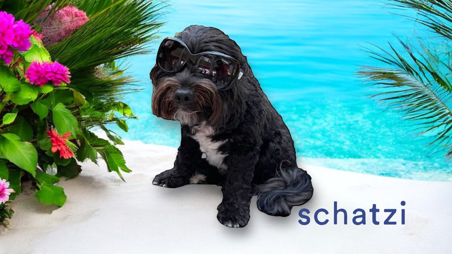 Schatzi Pet Fur Mask with Pure4 & Soothing Oatmeal 8 fl oz.