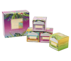 Box of 4 Natura Amor Whipped Body Butter - Various Scents